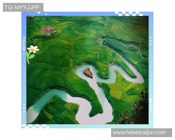 太阳与天空的较量在何处展开精彩对决探秘比赛地点的奥秘与魅力