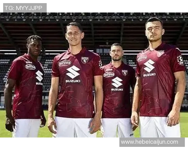 威尔士与保加利亚足彩分析及赛前预测全面解读